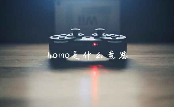homo是什么意思