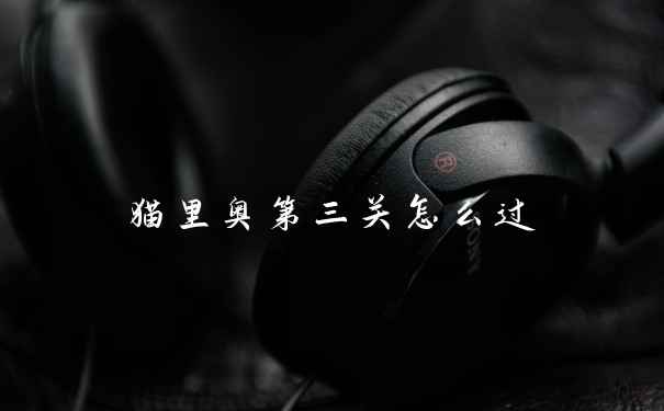 猫里奥第三关怎么过