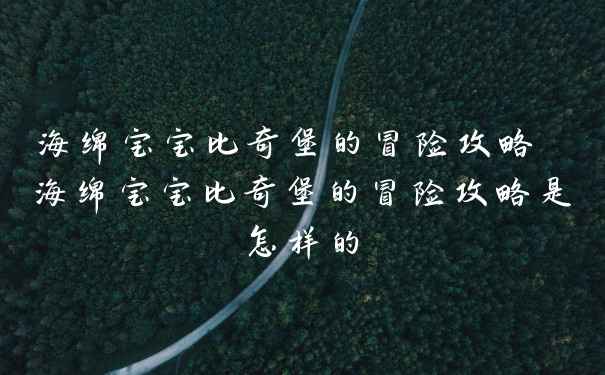 海绵宝宝比奇堡的冒险攻略 海绵宝宝比奇堡的冒险攻略是怎样的