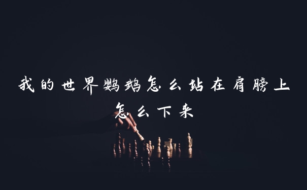 我的世界鹦鹉怎么站在肩膀上怎么下来