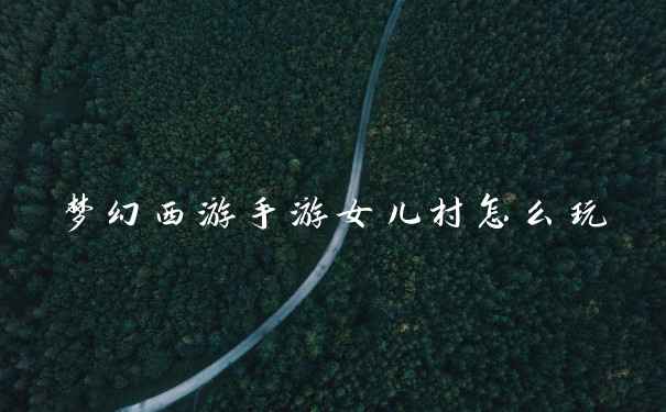 梦幻西游手游女儿村怎么玩