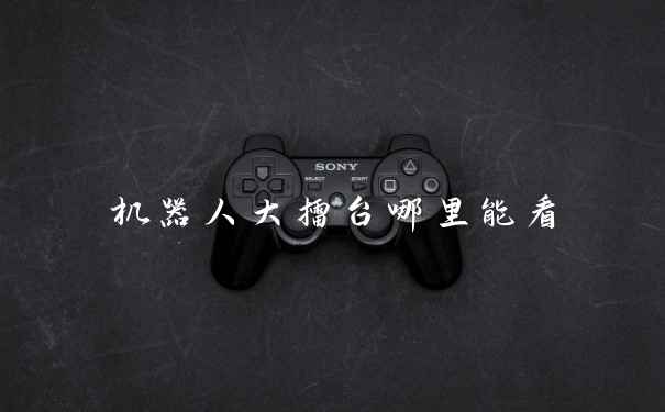 机器人大擂台哪里能看