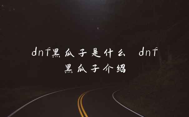 dnf黑瓜子是什么 dnf黑瓜子介绍