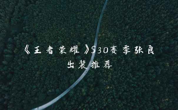 《王者荣耀》S30赛季张良出装推荐