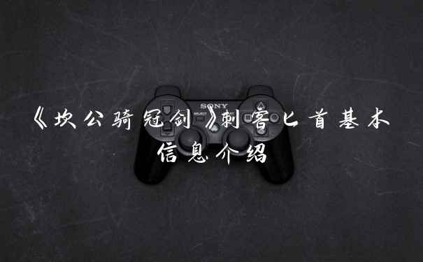 《坎公骑冠剑》刺客匕首基本信息介绍