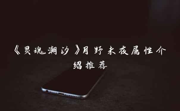 《灵魂潮汐》月野未夜属性介绍推荐