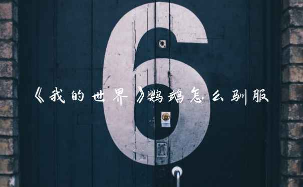 《我的世界》鹦鹉怎么驯服