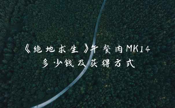 《绝地求生》午餐肉MK14多少钱及获得方式