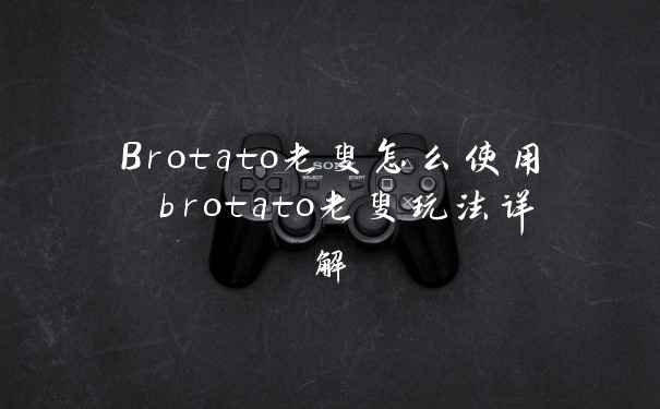 Brotato老叟怎么使用 brotato老叟玩法详解