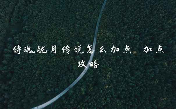 侍魂胧月传说怎么加点 加点攻略