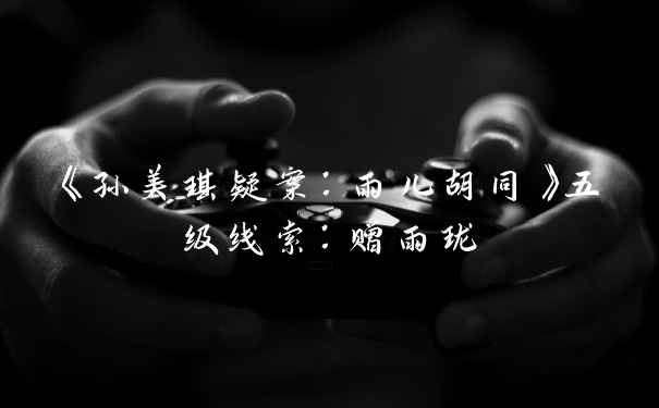 《孙美琪疑案：雨儿胡同》五级线索：赠雨珑