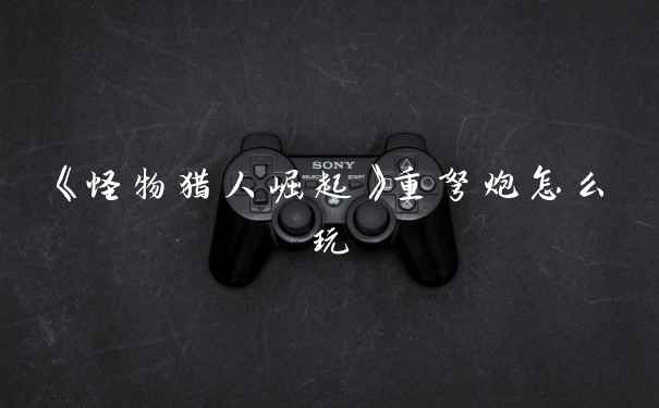 《怪物猎人崛起》重弩炮怎么玩