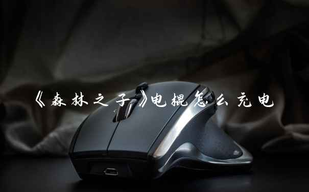 《森林之子》电棍怎么充电