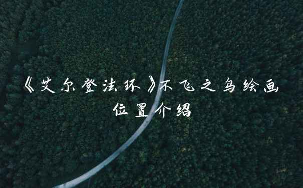 《艾尔登法环》不飞之鸟绘画位置介绍