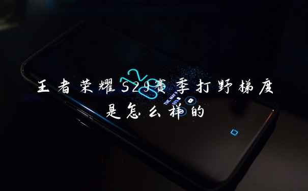 王者荣耀s29赛季打野梯度是怎么样的