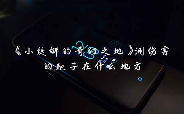 《小缇娜的奇幻之地》测伤害的靶子在什么地方