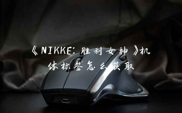 《NIKKE:胜利女神》机体标签怎么获取