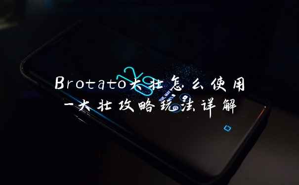 Brotato大壮怎么使用-大壮攻略玩法详解