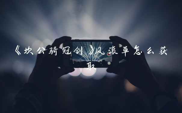 《坎公骑冠剑》风滚草怎么获取