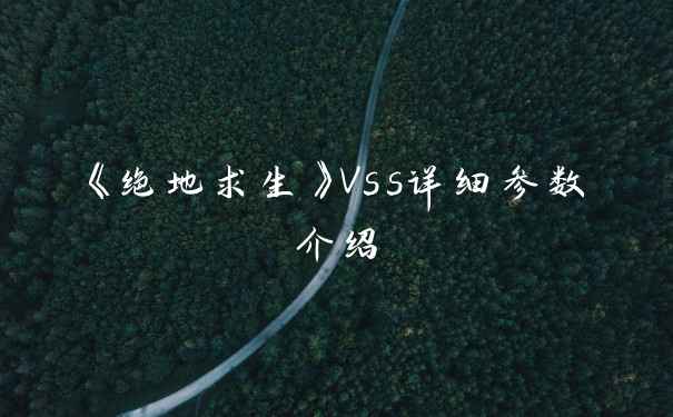 《绝地求生》Vss详细参数介绍