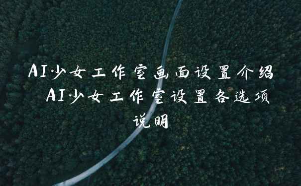 AI少女工作室画面设置介绍 AI少女工作室设置各选项说明