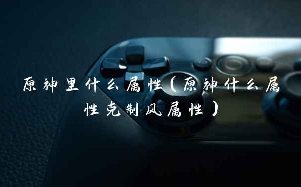 原神里什么属性（原神什么属性克制风属性）