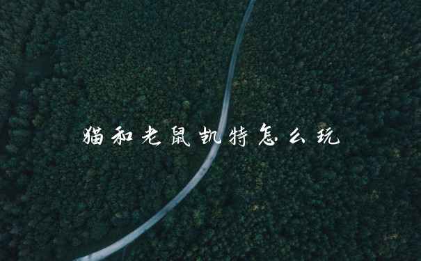 猫和老鼠凯特怎么玩