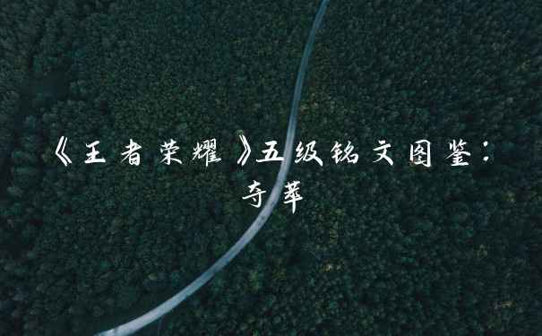 《王者荣耀》五级铭文图鉴：夺萃