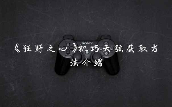 《狂野之心》机巧天弦获取方法介绍