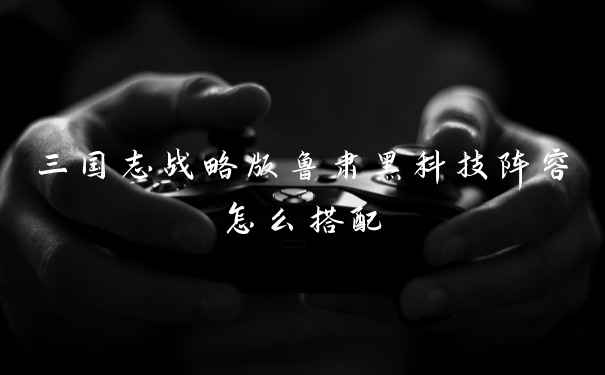 三国志战略版鲁肃黑科技阵容怎么搭配