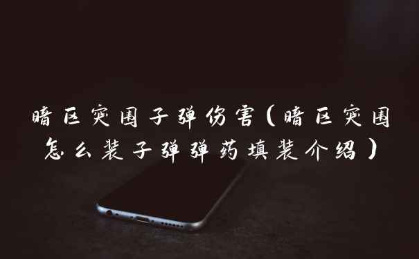 暗区突围子弹伤害（暗区突围怎么装子弹弹药填装介绍）