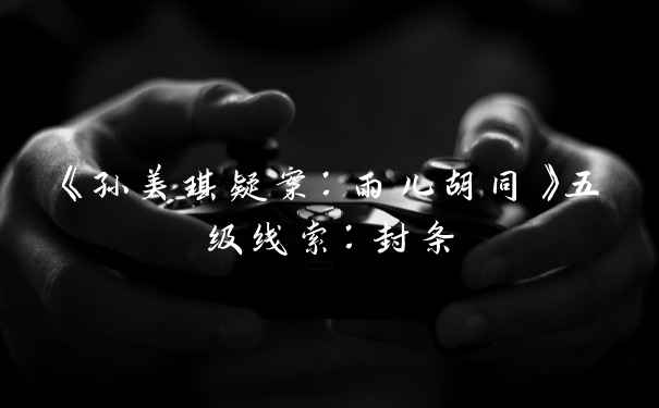 《孙美琪疑案：雨儿胡同》五级线索：封条