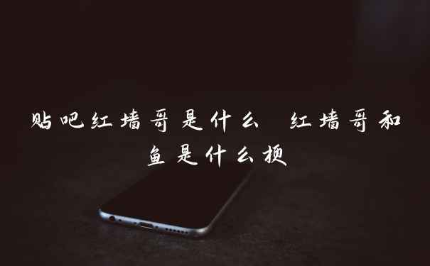 贴吧红墙哥是什么 红墙哥和鱼是什么梗