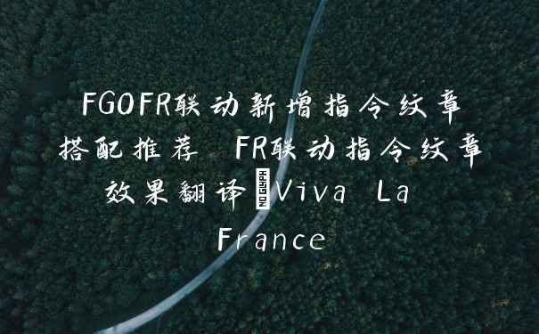 FGOFR联动新增指令纹章搭配推荐 FR联动指令纹章效果翻译_Viva La France