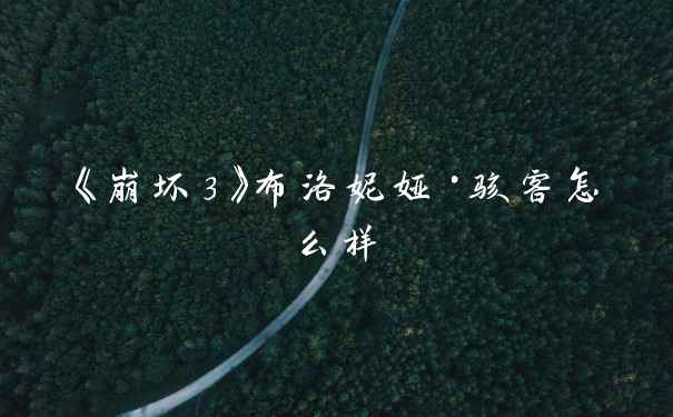 《崩坏3》布洛妮娅·骇客怎么样