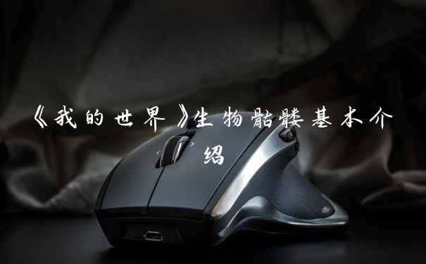 《我的世界》生物骷髅基本介绍