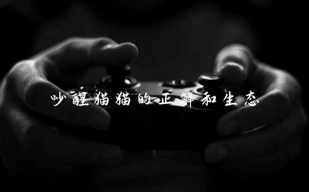 吵醒猫猫的正解和生态