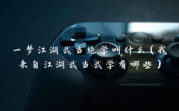 一梦江湖武当绝学叫什么(我来自江湖武当武学有哪些)