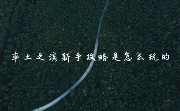 率土之滨新手攻略是怎么玩的