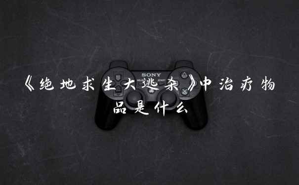 《绝地求生大逃杀》中治疗物品是什么