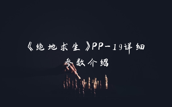 《绝地求生》PP-19详细参数介绍
