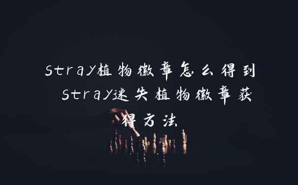 stray植物徽章怎么得到 stray迷失植物徽章获得方法