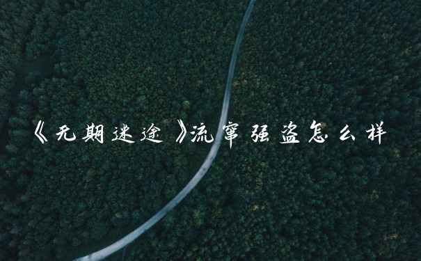 《无期迷途》流窜强盗怎么样