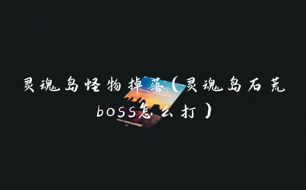 灵魂岛怪物掉落（灵魂岛石荒boss怎么打）