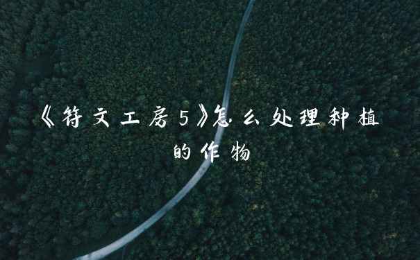 《符文工房5》怎么处理种植的作物