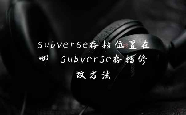 subverse存档位置在哪 subverse存档修改方法