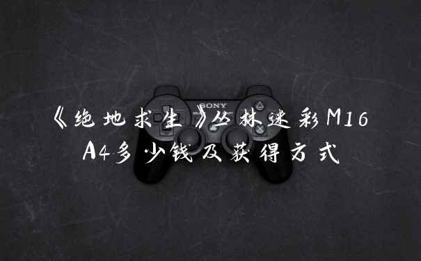 《绝地求生》丛林迷彩M16A4多少钱及获得方式