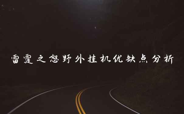 雷霆之怒野外挂机优缺点分析