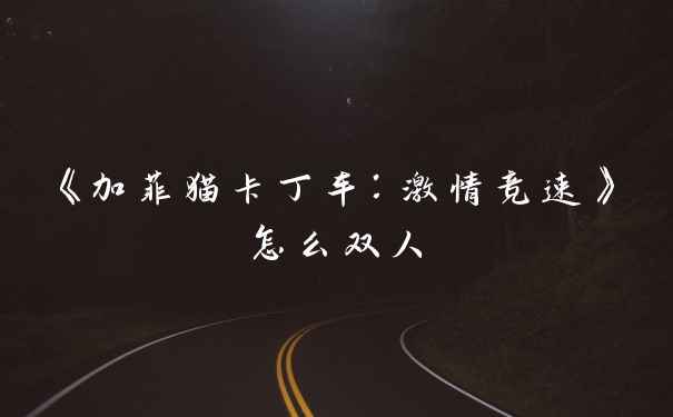 《加菲猫卡丁车：激情竞速》怎么双人