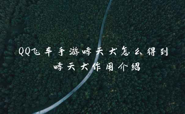 QQ飞车手游哮天犬怎么得到 哮天犬作用介绍